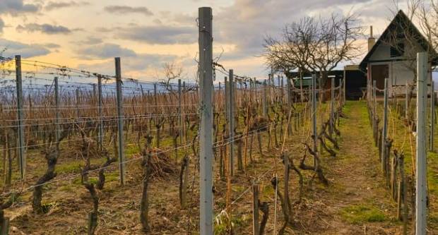 FOTO: Šetnja Sokolovcem i Grgurevskim putom, 13.3.2021.