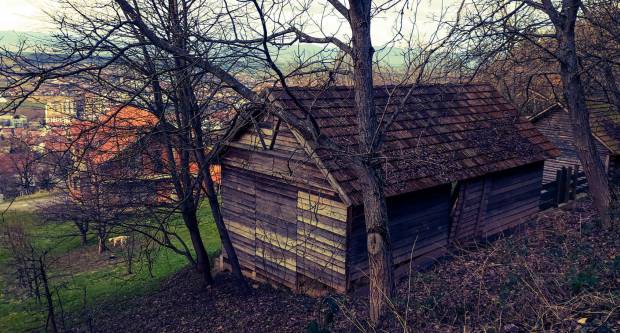 FOTO: Šetnja Sokolovcem i Grgurevskim putom, 13.3.2021.