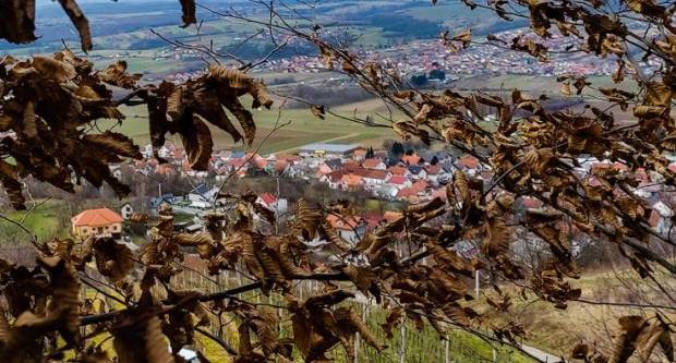 FOTO: Šetnja Sokolovcem i Grgurevskim putom, 13.3.2021.