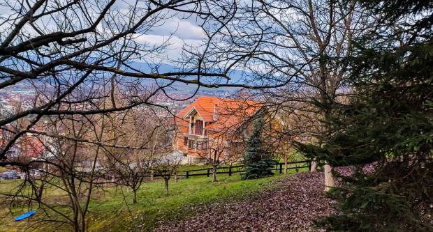 FOTO: Šetnja Sokolovcem i Grgurevskim putom, 13.3.2021.