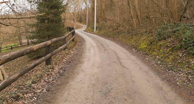 FOTO: Šetnja Sokolovcem i Grgurevskim putom, 13.3.2021.