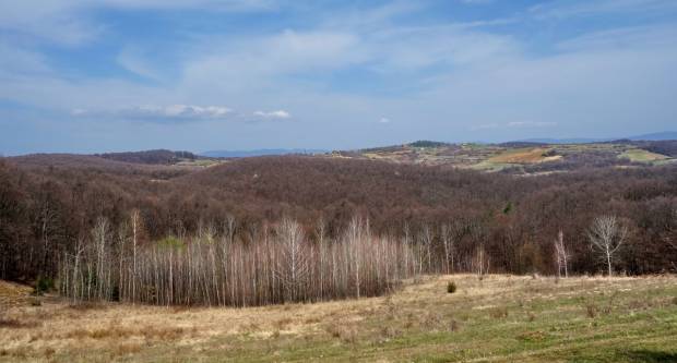 Planinari HPD Gojzerice obilježili Požešku planinarsku obilaznicu