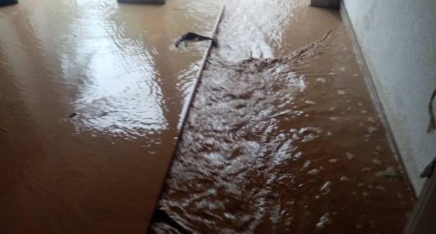 Apokaliptični prizori Požeštine : grad pun blata, mulja i smeća