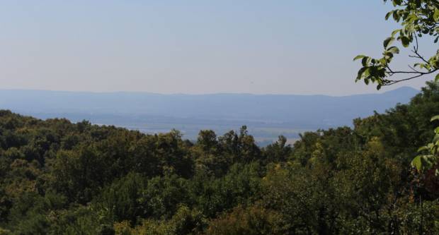 Otvorena ʺPoučna staza dr. Andrije Štamparaʺ u Brodskom Drenovcu