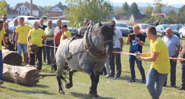 U Mihaljevcima održano natjecanje u šlajsu