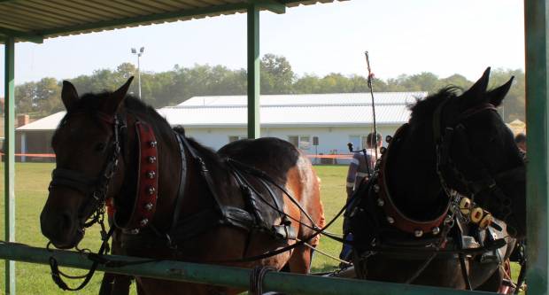 U Mihaljevcima održano natjecanje u šlajsu
