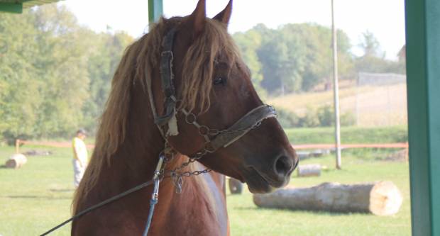 U Mihaljevcima održano natjecanje u šlajsu