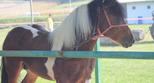 U Mihaljevcima održano natjecanje u šlajsu