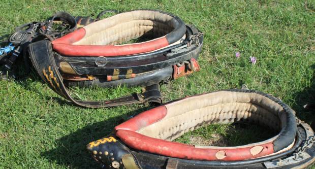 U Mihaljevcima održano natjecanje u šlajsu