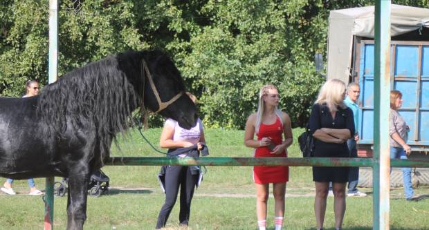 U Mihaljevcima održano natjecanje u šlajsu