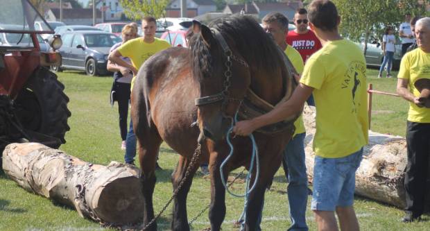 U Mihaljevcima održano natjecanje u šlajsu