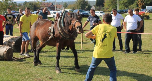 U Mihaljevcima održano natjecanje u šlajsu