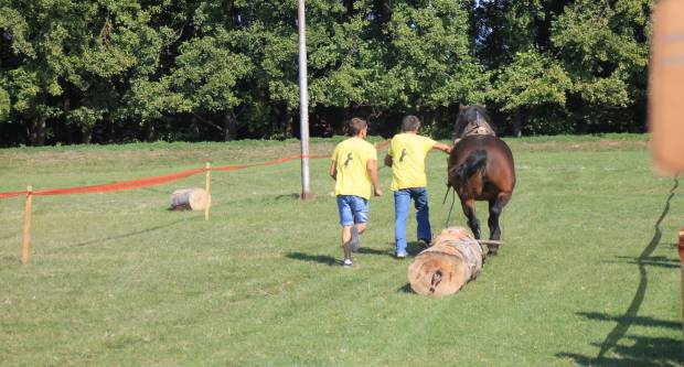 U Mihaljevcima održano natjecanje u šlajsu