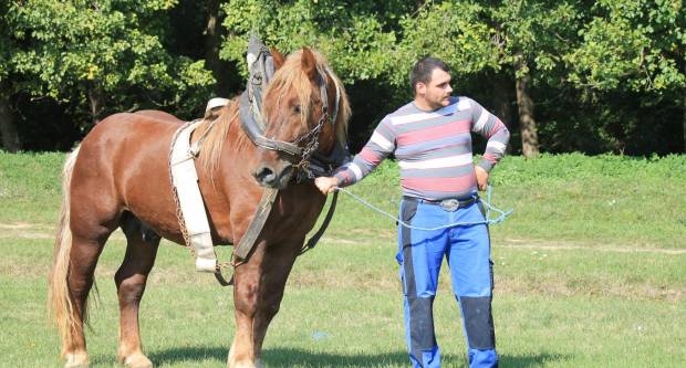 U Mihaljevcima održano natjecanje u šlajsu