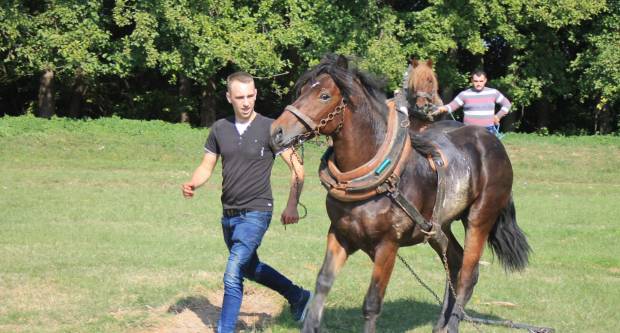 U Mihaljevcima održano natjecanje u šlajsu