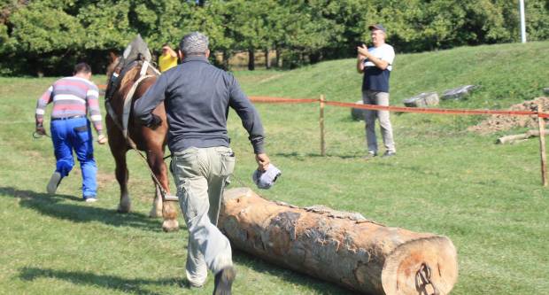 U Mihaljevcima održano natjecanje u šlajsu