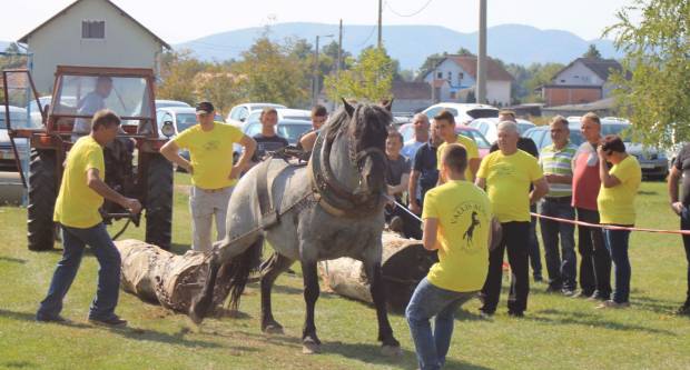 U Mihaljevcima održano natjecanje u šlajsu