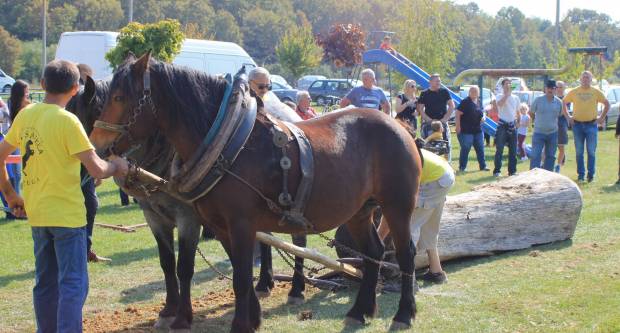 U Mihaljevcima održano natjecanje u šlajsu