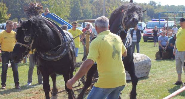 U Mihaljevcima održano natjecanje u šlajsu
