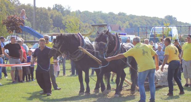 U Mihaljevcima održano natjecanje u šlajsu
