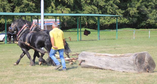 U Mihaljevcima održano natjecanje u šlajsu