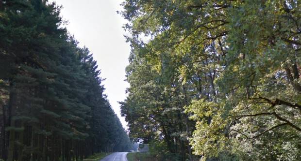 OBAVIJEST: Cesta DC51 između Požege i Eminovaca od sutra privremeno zatvorena za promet