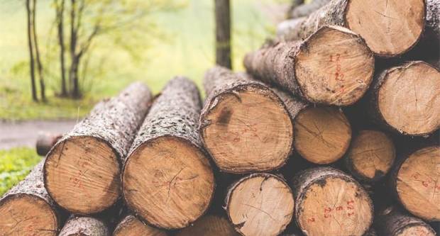 Objavljen Natječaj vrijedan 147 milijuna kuna za ulaganja u preradu drva