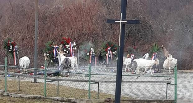 ŽIVOTINJE NA CESTAMA 11 prijava protiv istog vlasnika na Bučju