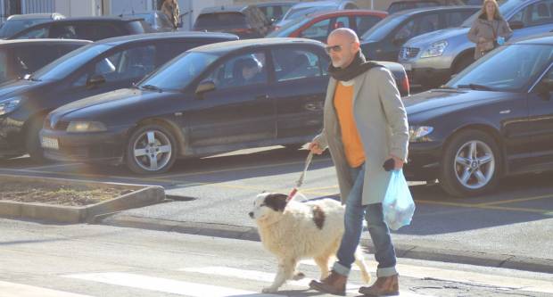 Subotnja šetnja sunčanom Požegom, 29.01.2022.g