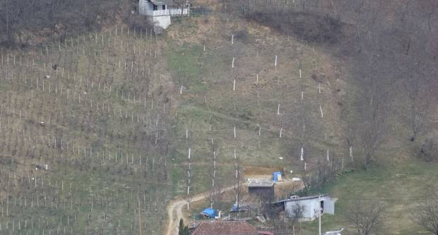 Šetnja požeškim ulicama