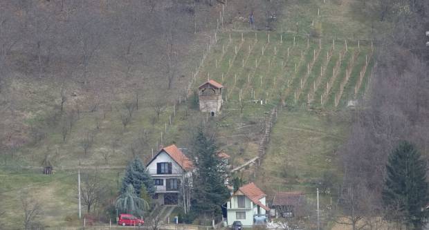 Šetnja požeškim ulicama