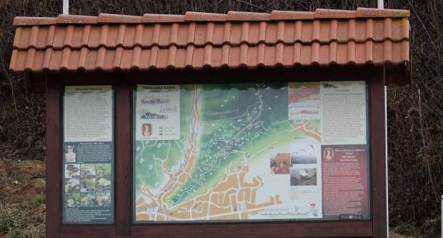 Šetnja požeškim ulicama