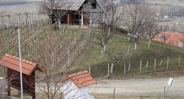 Šetnja požeškim ulicama