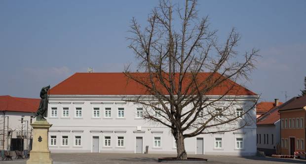 Šetnja požeškim ulicama