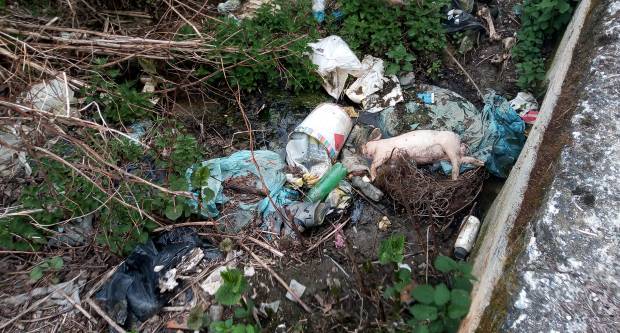 DIVLJE ODLAGALIŠTE OTPADA: Netko je kod Jakšića uz cestu osim smeća bacao i uginule životinje