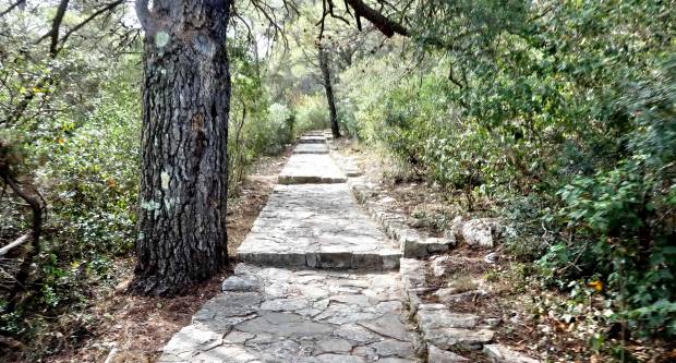 FOTO: HPD Gojzerica Požega posjetila Nacionalni park Mljet