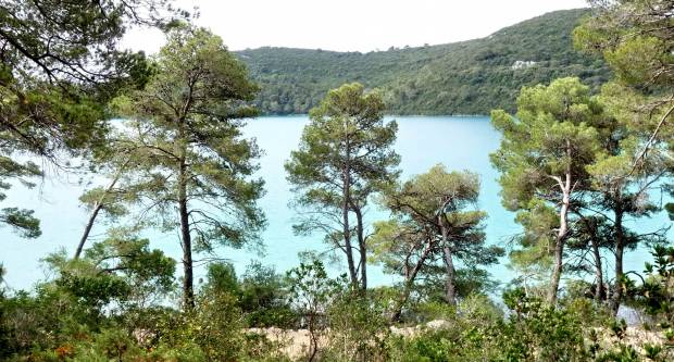 FOTO: HPD Gojzerica Požega posjetila Nacionalni park Mljet