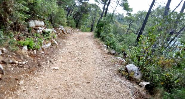 FOTO: HPD Gojzerica Požega posjetila Nacionalni park Mljet