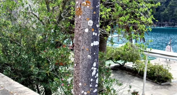 FOTO: HPD Gojzerica Požega posjetila Nacionalni park Mljet