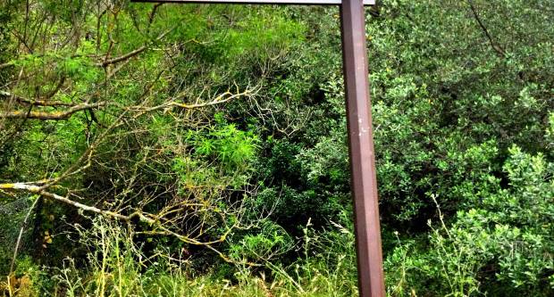 FOTO: HPD Gojzerica Požega posjetila Nacionalni park Mljet