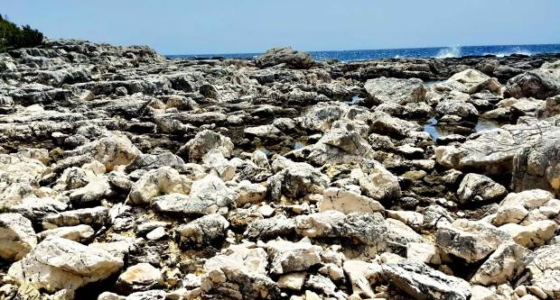 FOTO: HPD Gojzerica Požega posjetila Nacionalni park Mljet