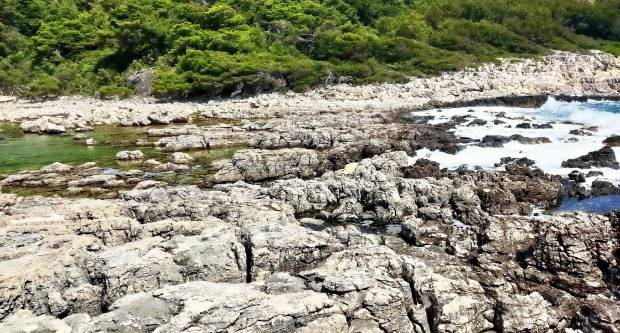 FOTO: HPD Gojzerica Požega posjetila Nacionalni park Mljet
