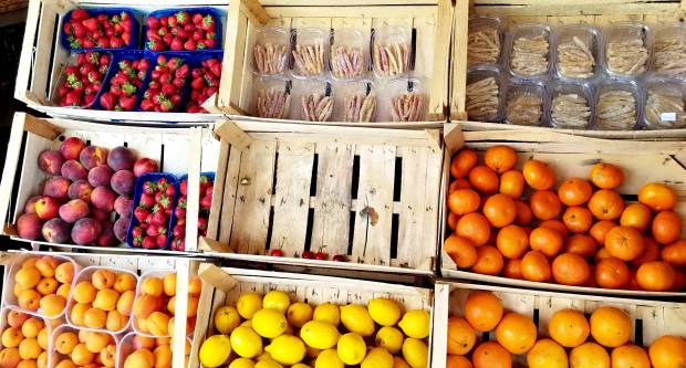 FOTO: HPD Gojzerica Požega posjetila Nacionalni park Mljet