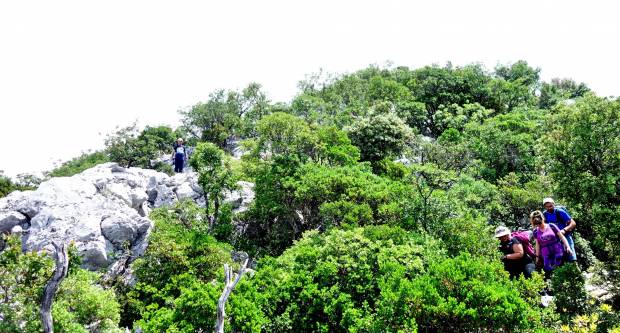 FOTO: HPD Gojzerica Požega posjetila Nacionalni park Mljet