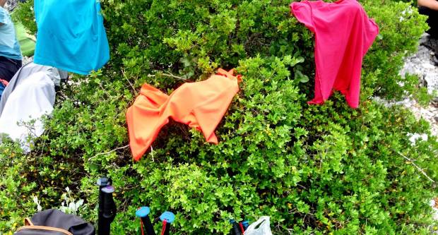 FOTO: HPD Gojzerica Požega posjetila Nacionalni park Mljet