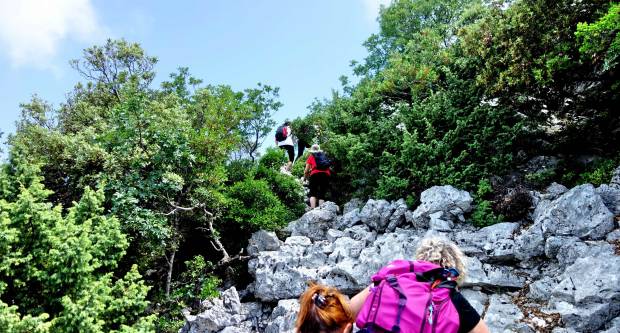 FOTO: HPD Gojzerica Požega posjetila Nacionalni park Mljet