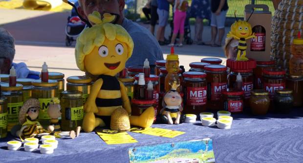 FOTOGALERIJA: LIDAS u Pleternici