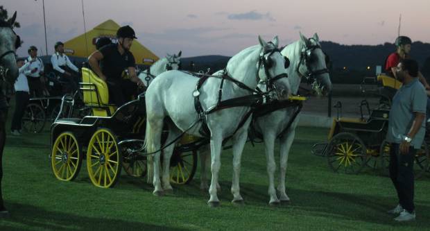 MEĐUNARODNI KONJIČKI TURNIR U PLETERNICI: Održana prva konjička noćna utrka u svijetu