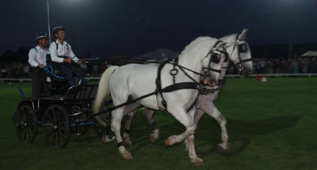 MEĐUNARODNI KONJIČKI TURNIR U PLETERNICI: Održana prva konjička noćna utrka u svijetu