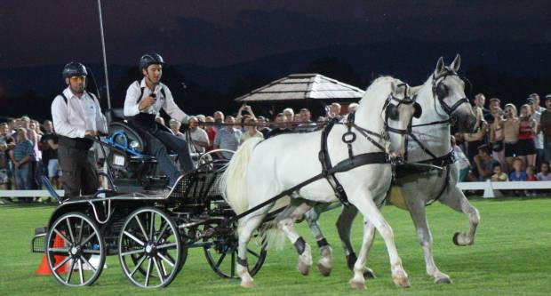 MEĐUNARODNI KONJIČKI TURNIR U PLETERNICI: Održana prva konjička noćna utrka u svijetu